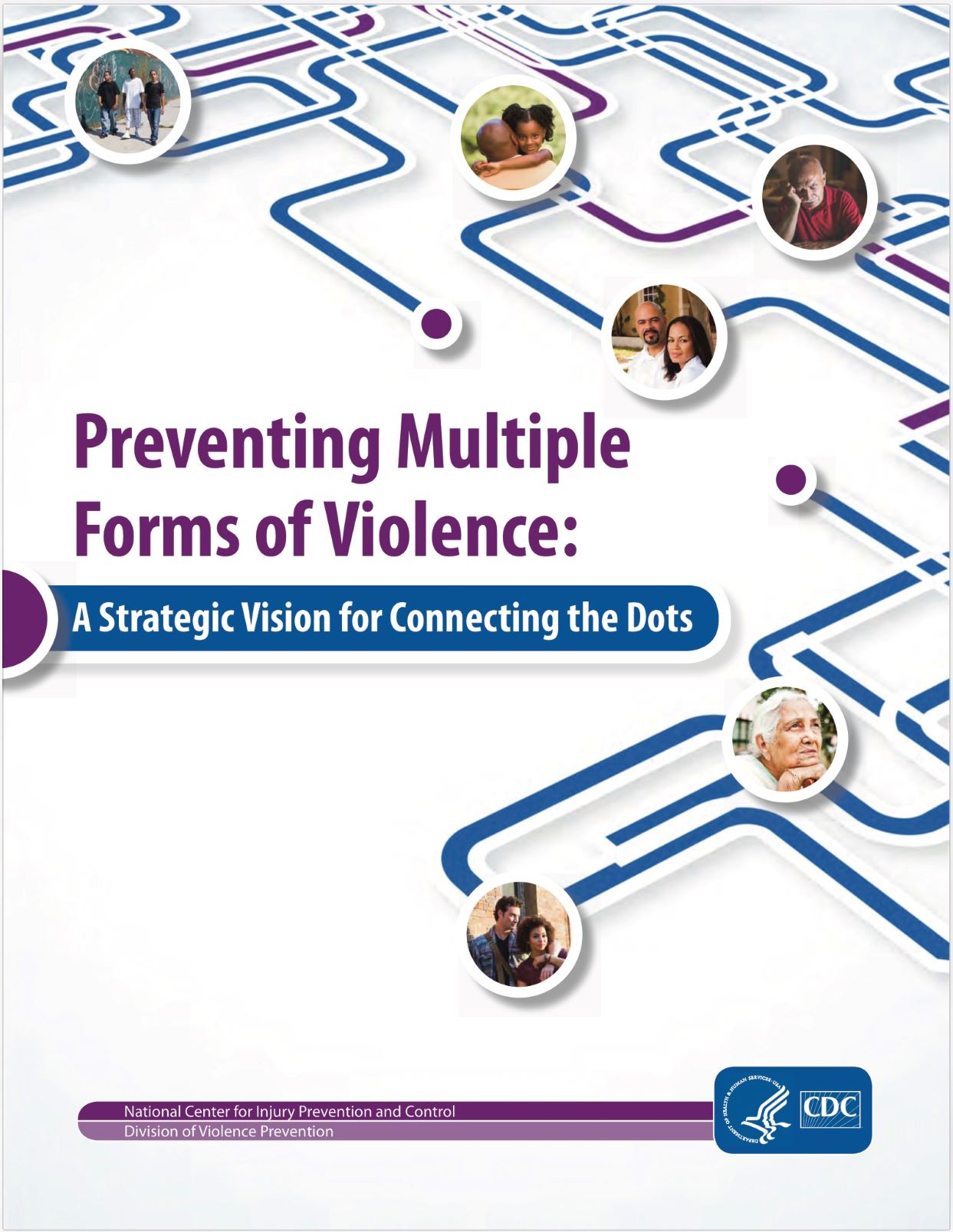 Preventing Multiple Forms of Violence:  A Strategic Vision for Connecting the Dots