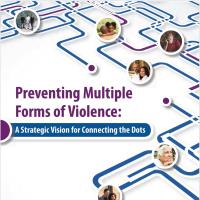 Preventing Multiple Forms of Violence:  A Strategic Vision for Connecting the Dots