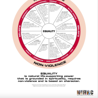 Nonviolence Equality Wheel