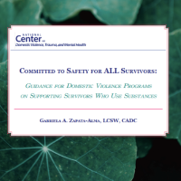 Committed to Safety for ALL Survivors: Guidance for Domestic Violence Programs on Supporting Survivors Who Use Substances