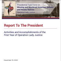 Report To The President: Activities and Accomplishments of the First Year of Operation Lady Justice