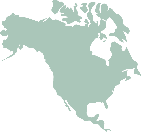 Green graphic of North America