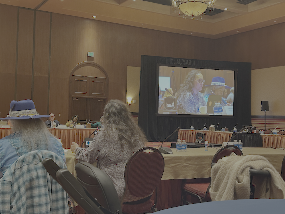 Tami Truett Jerue speaking at the 19th Annual Violence Against Women Government-toGovernment Consultation. / Photo courtesy of Paula Julian.