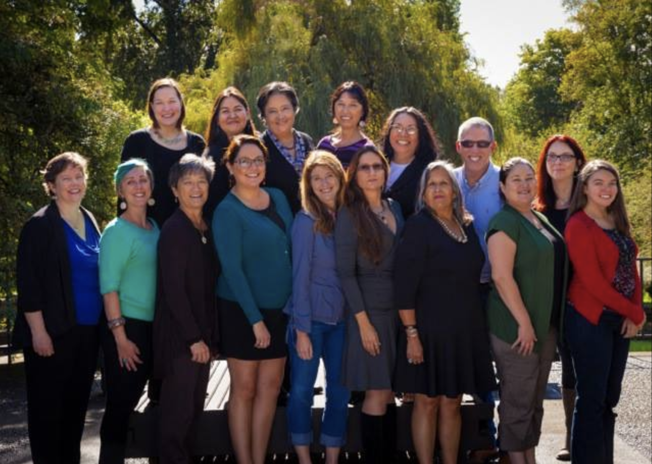 Group photo of The Indigenous Research Collaborative to End Violence Committee