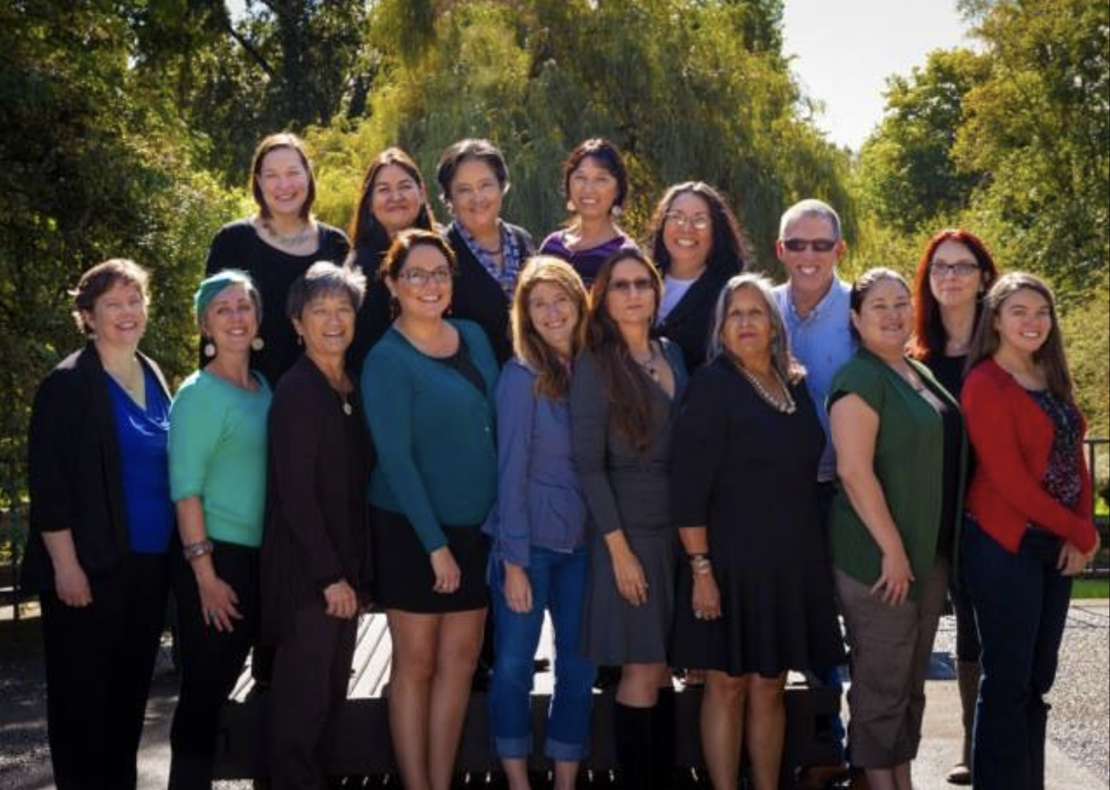 Group photo of The Indigenous Research Collaborative to End Violence Committee 