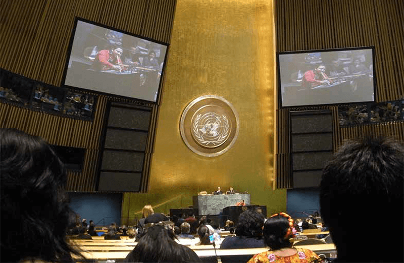 UN Permanent Forum on Indigenous Issues