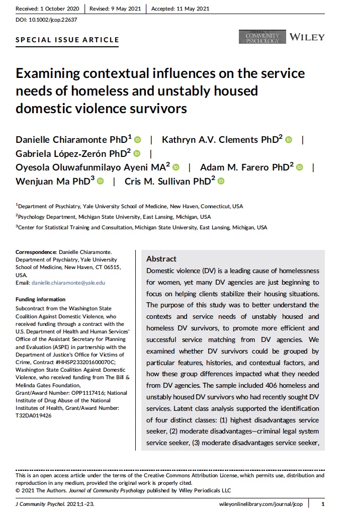 Examining Contextual Influences on the Service Needs of Homeless and Unstably Housed Domestic Violence Survivors