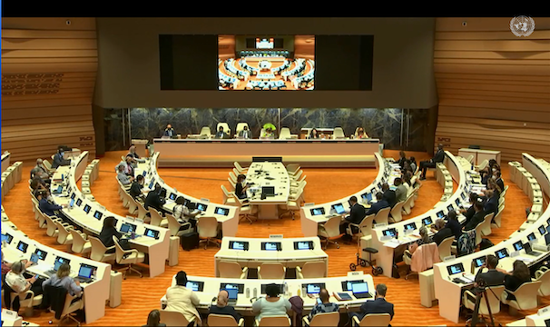 A landscape photo of the UN amphitheater as viewed from the back.