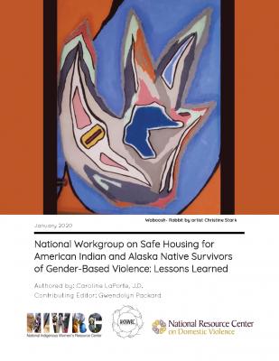 National Workgroup on Safe Housing for American Indian and Alaska Native Survivors of Gender-Based Violence: Lessons Learned