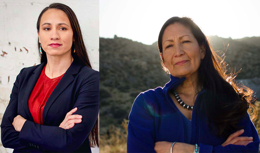 Native American Women Win Congressional and State Elections