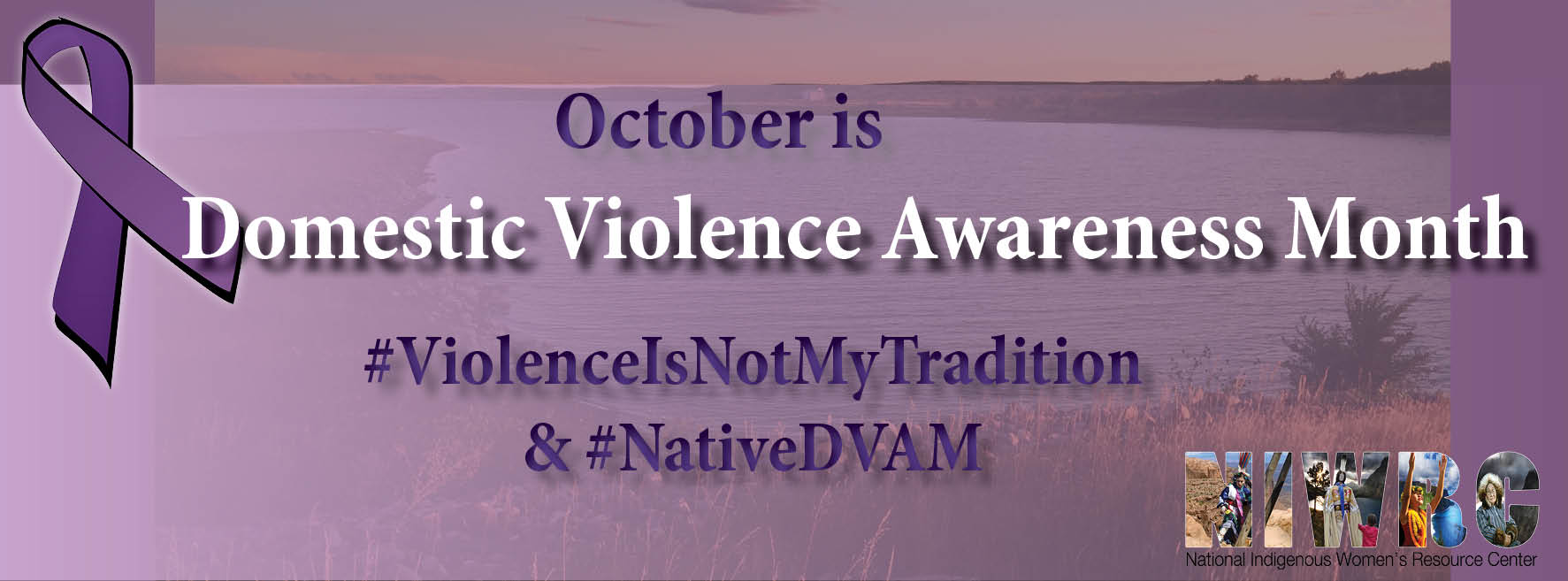 NIWRC Celebrates the 30th Anniversary of Domestic Violence Awareness Month in October
