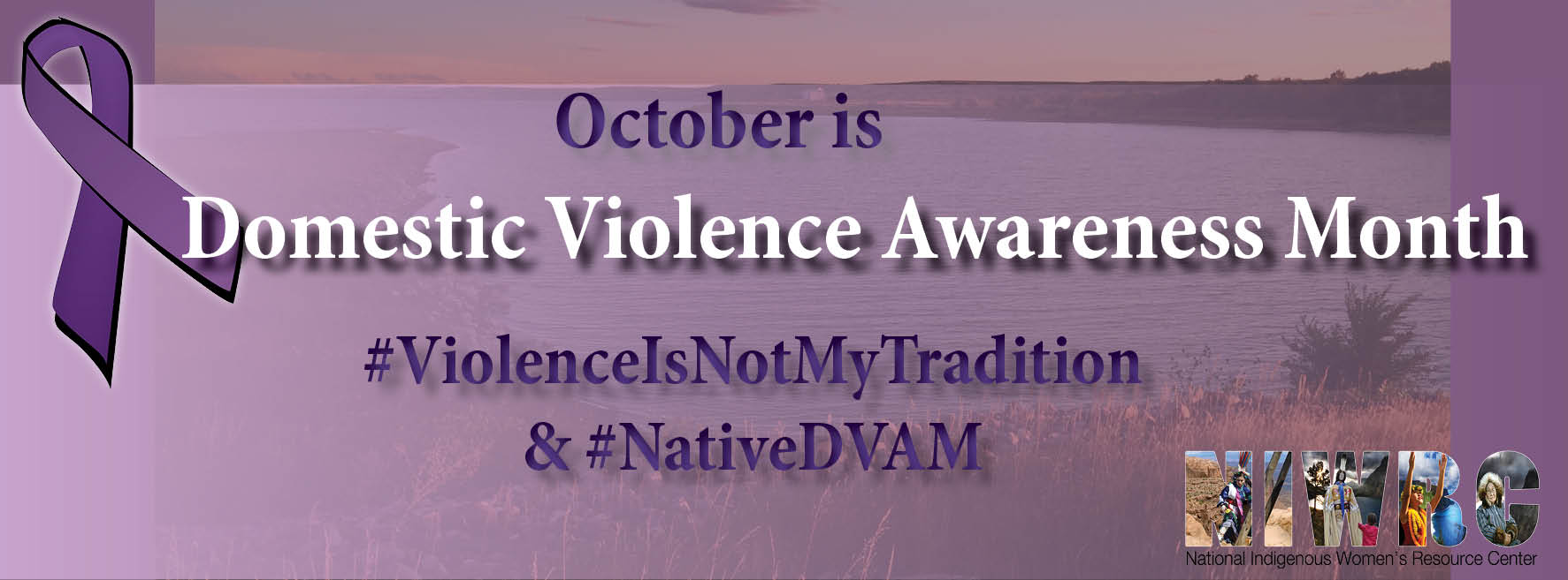 Domestic Violence Awareness Month 