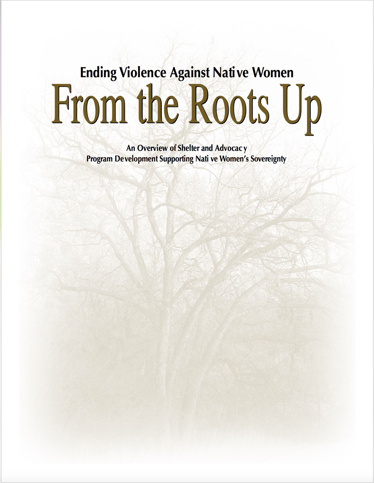 From The Roots Up: An Overview of Shelter and Advocacy Program Development Supporting Women’s Sovereignty