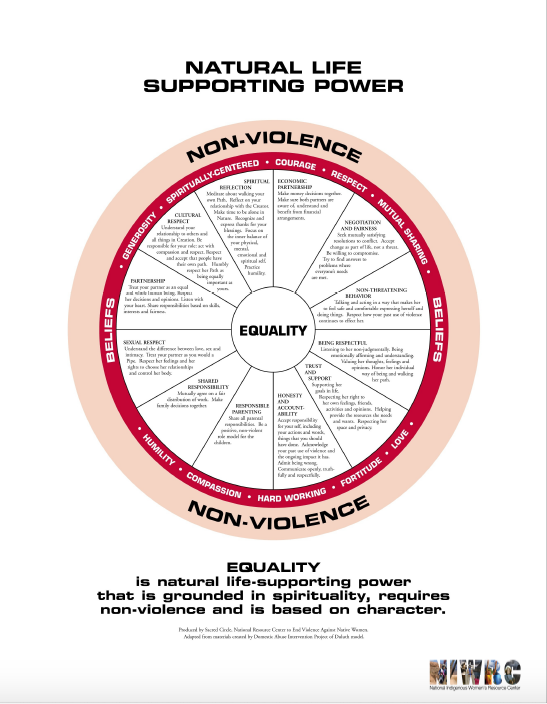 Nonviolence Equality Wheel