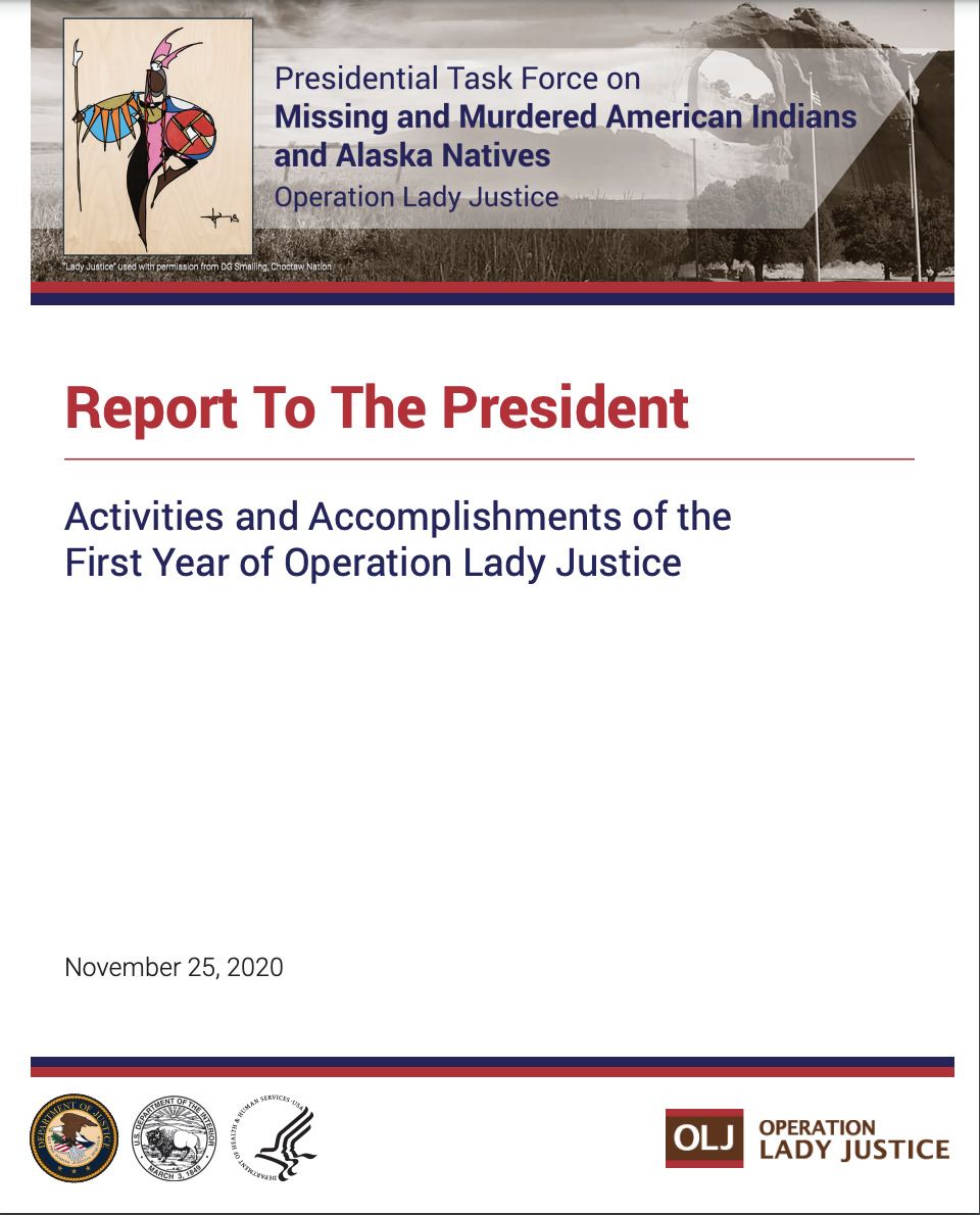 Report To The President: Activities and Accomplishments of the First Year of Operation Lady Justice