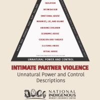 Light brown cover of brochure with triangle shape and title, "Intimate Partner Violence: Unnatural Power and Control Descriptions."