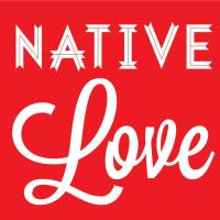 NIWRC and NativeLove Youth Respond to School Shootings Youth, Schools, Guns, and Intimate Partner Violence