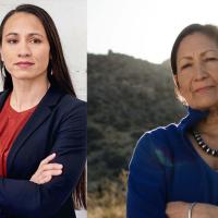 NIWRC Congratulates Native Women Candidates 