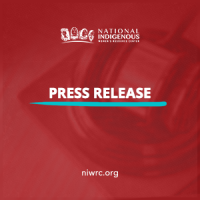 Red fade over justice gavel, bold white text reads “Press Release” and the NIWRC logo is at the top in white. 
