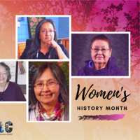 NIWRC Womens History March