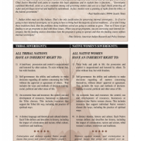Tribal Sovereignty and Native Women's Sovereignty 