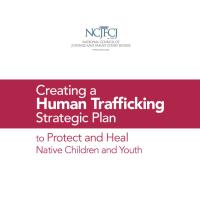 Creating a Human Trafficking Strategic Plan to Protect and Heal Native Children and Youth