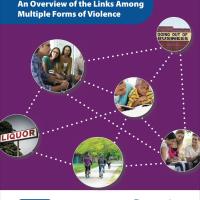 Connecting the Dots: An Overview of the Links Among Multiple Forms of Violence
