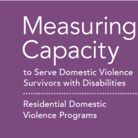 Purple square with text Measuring Capacity to Serve Domestic Violence Survivors with Disabilities.