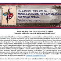 Presidential Task Force on Missing and Murdered American and Alaska Natives: Operation Lady Justice