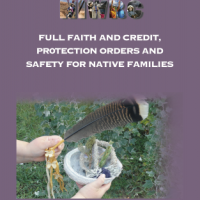 Full Faith and Credit Brochure