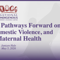 Reflections and Pathways Forward on MMIWR, Domestic Violence, and Native Maternal Health