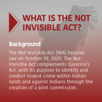 what is the not invisible act? image
