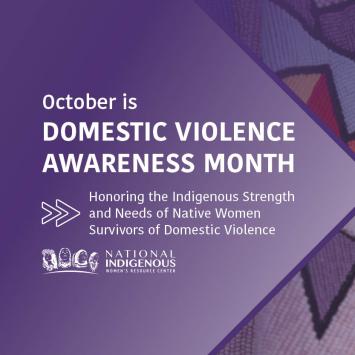Native blanket background with purple overlay with text, "October is Domestic Violence Awareness Month, Honoring the Indigenous Strength and Needs of Native Women Survivors of Domestic Violence" plus NIWRC logo in white.