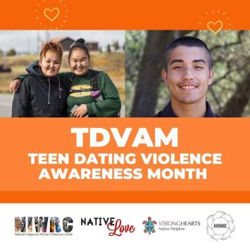 TDVAM Statement